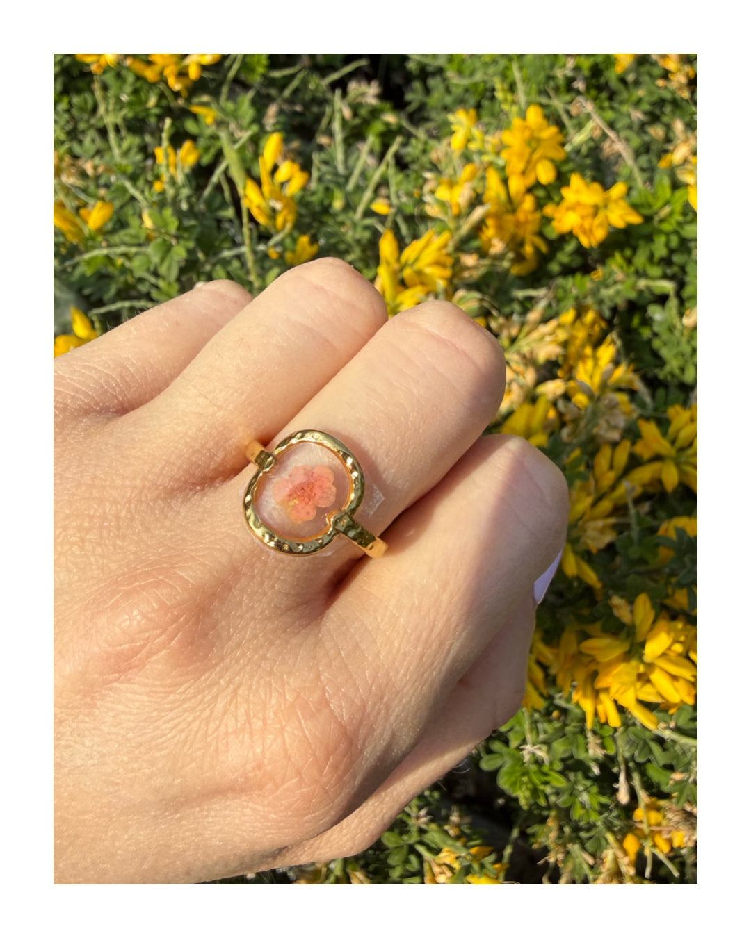 Anello Dalia