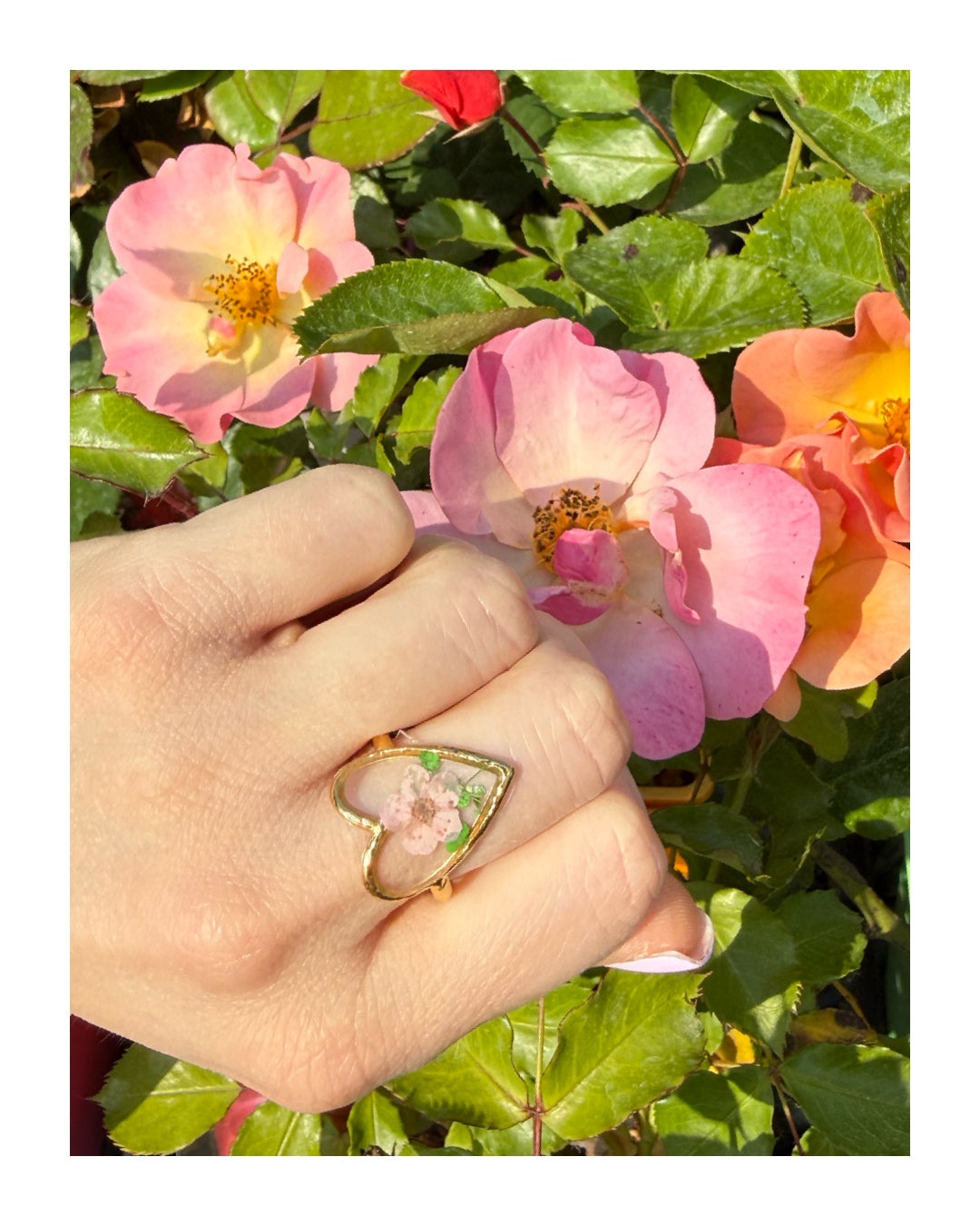 Anello Mirta