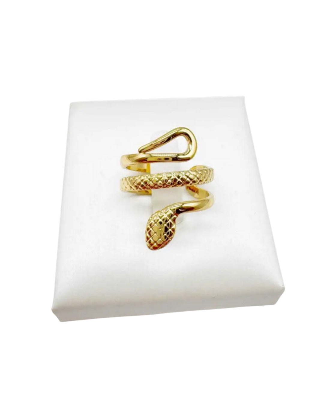 Anello Snake